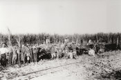 Georg Fritz, No. 229 People Collecting Sugar Cane 